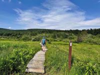 appalachian trail massachusetts green fields