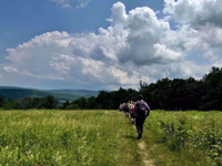 appalachian trail massachusetts green fields