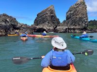 Redwood National and State Parks Kayaking