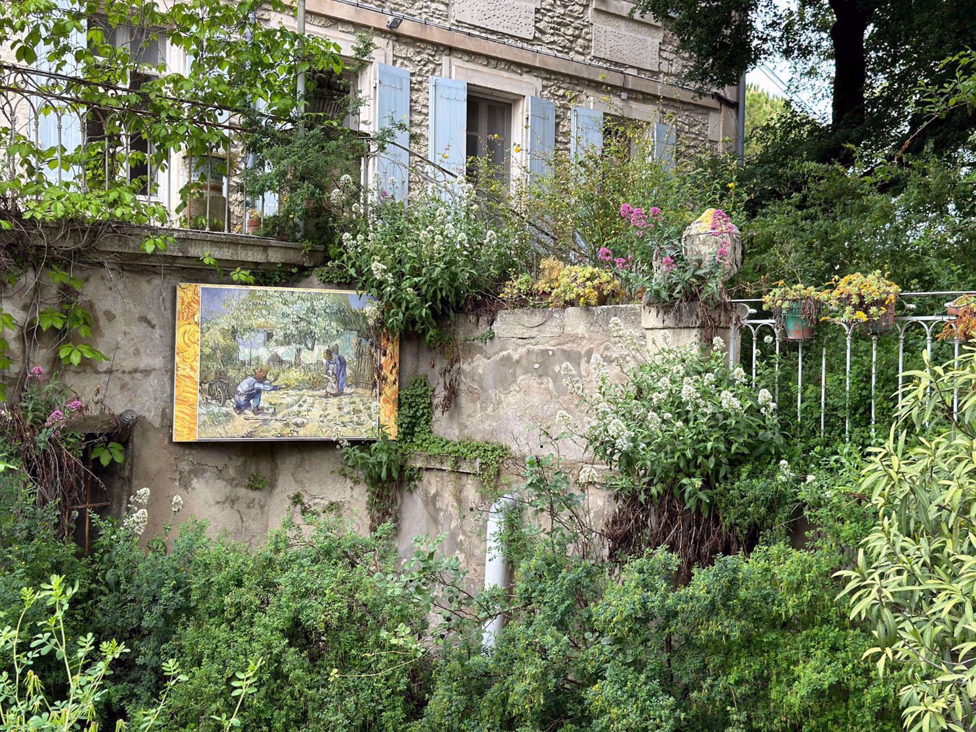 Provence France Culture Garden