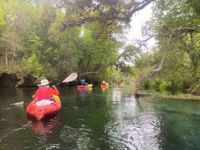 Suwannee River Kayaking