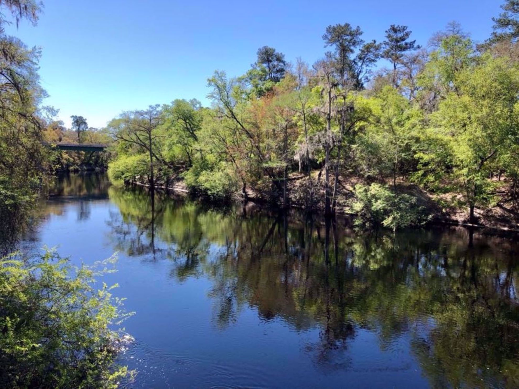 Suwannee River White Springs Florida
