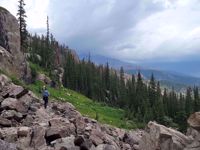 Rocky Mountain National Park Evergreen Trees