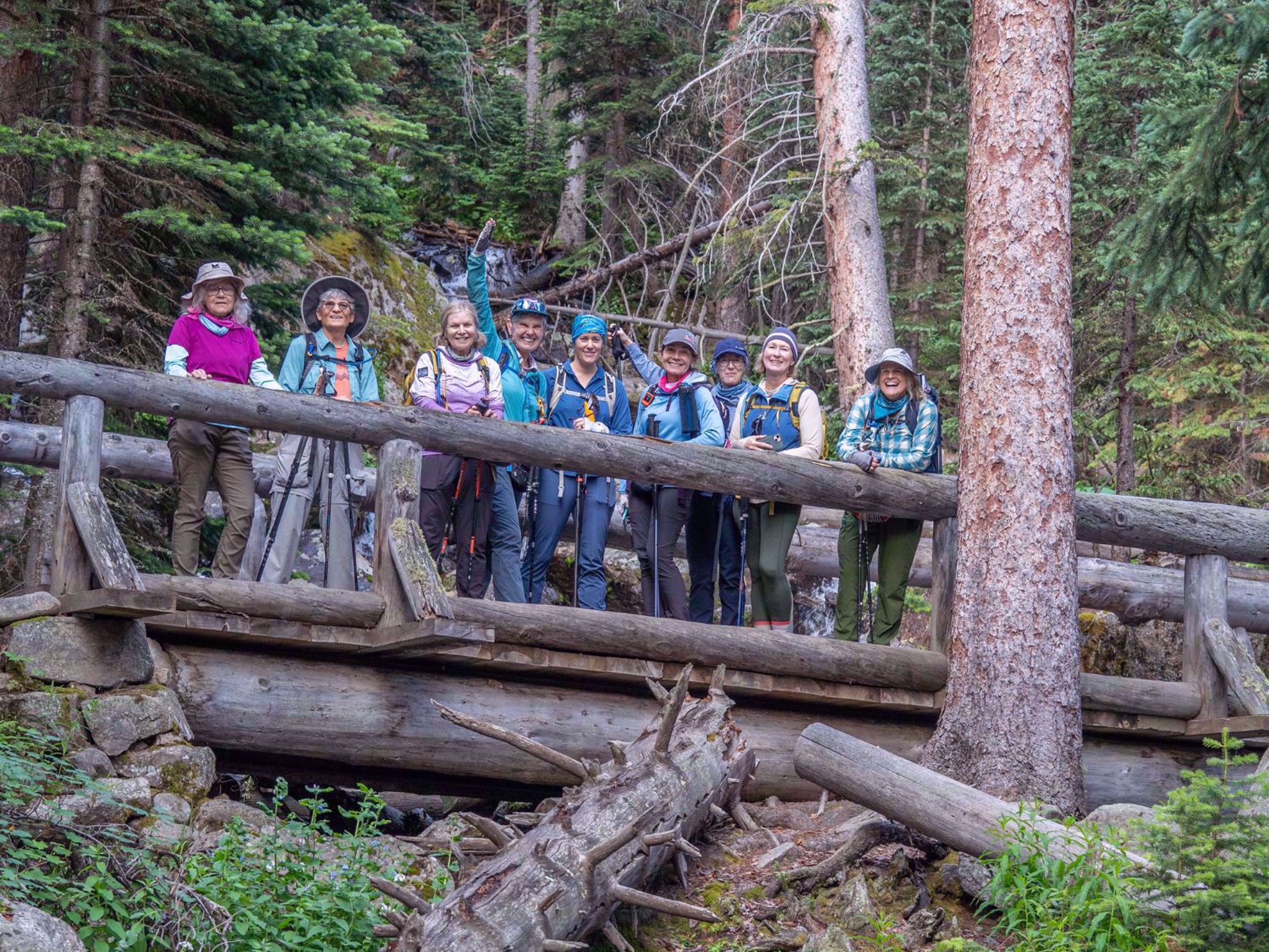 Rocky Mountain National Park Forest Hiking