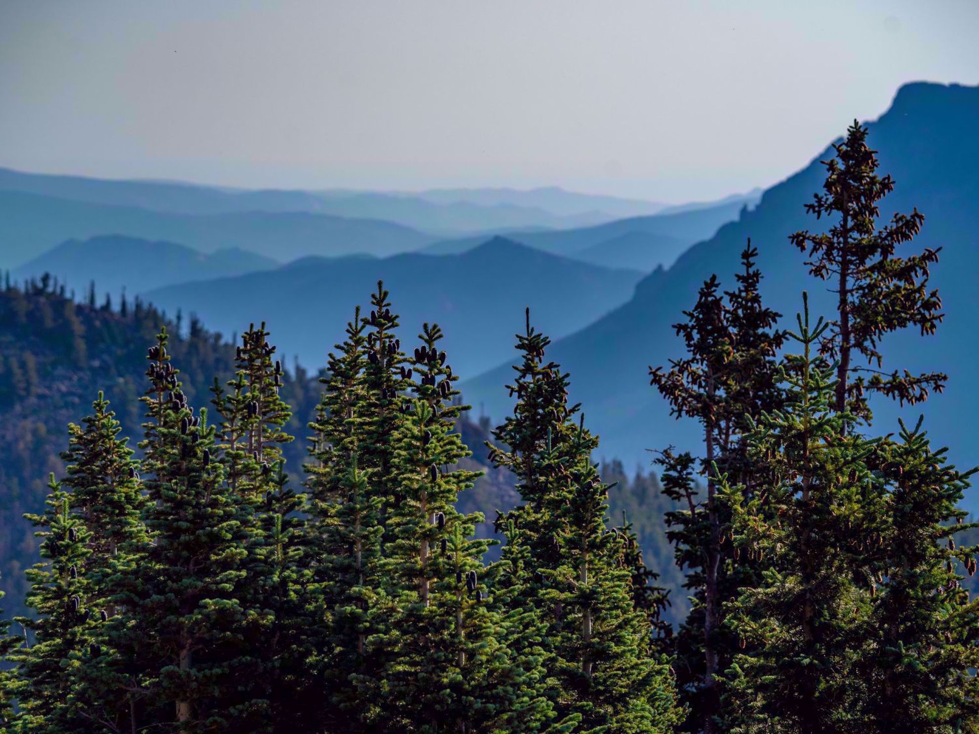 Rocky Mountain National Park Stunning Landscape