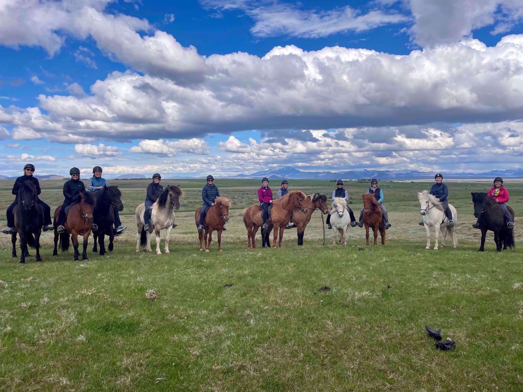 Iceland Horseback Riding