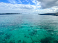 Explore the Galapagos Islands by Land