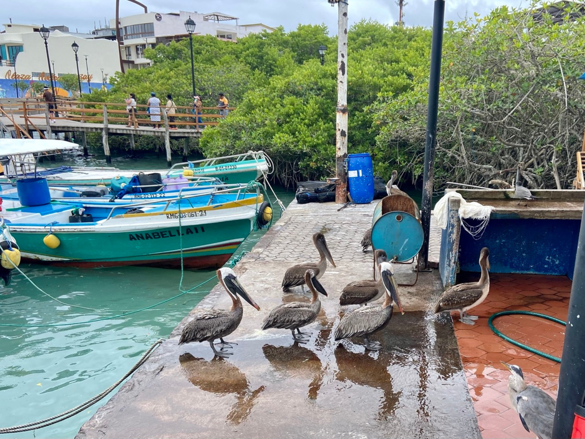 Explore the Galapagos Islands by Land