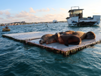 Explore the Galapagos Islands by Land