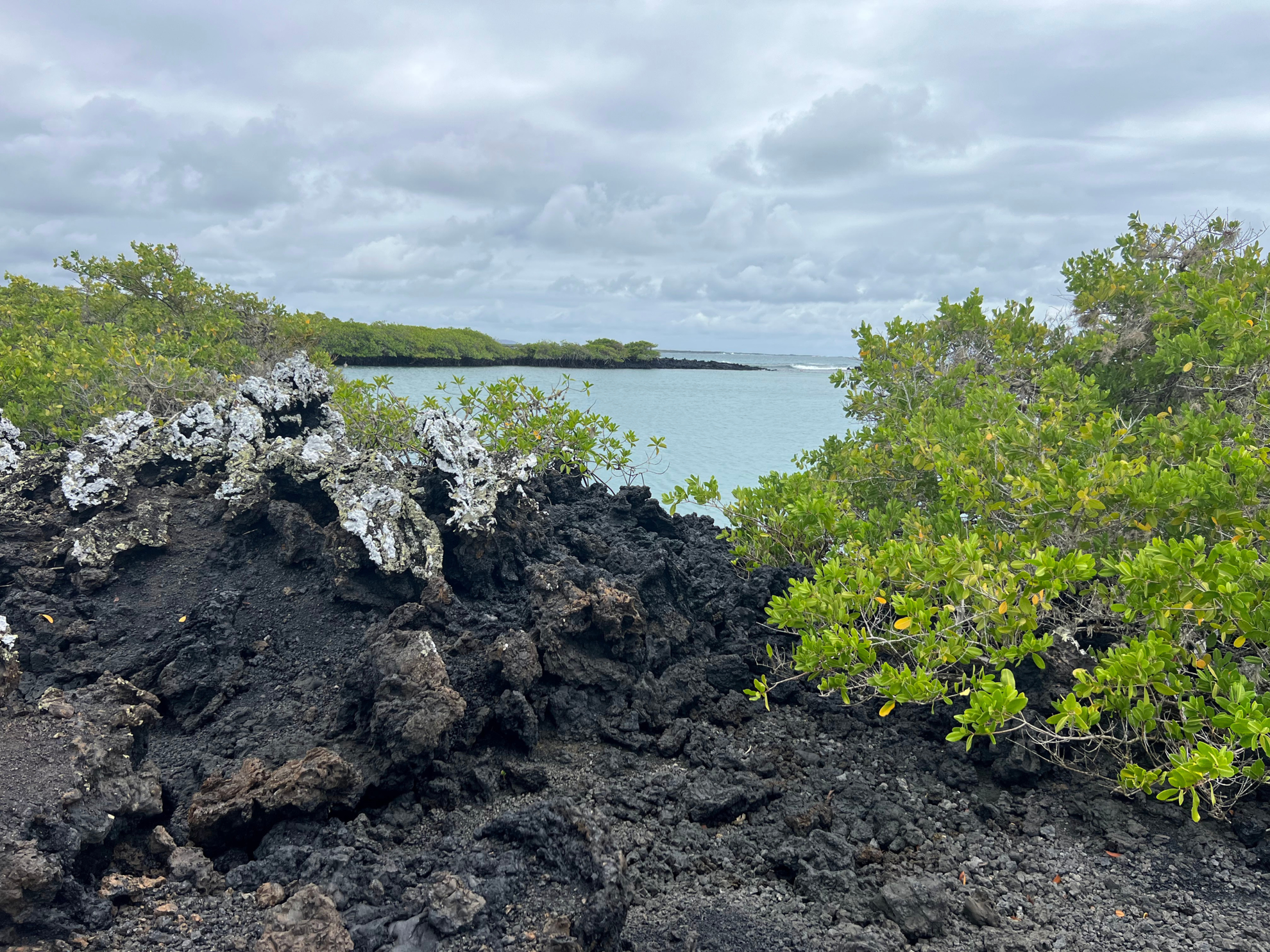 Explore the Galapagos Islands by Land