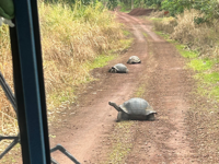 Explore the Galapagos Islands by Land