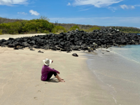 Explore the Galapagos Islands by Land