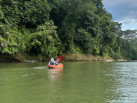 Ecuador's Amazon Jungle Adventure