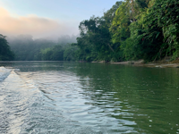 Ecuador's Amazon Jungle Adventure