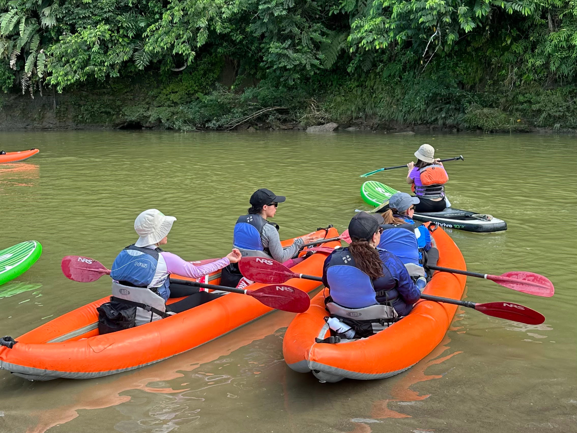 Ecuador's Amazon Jungle Adventure