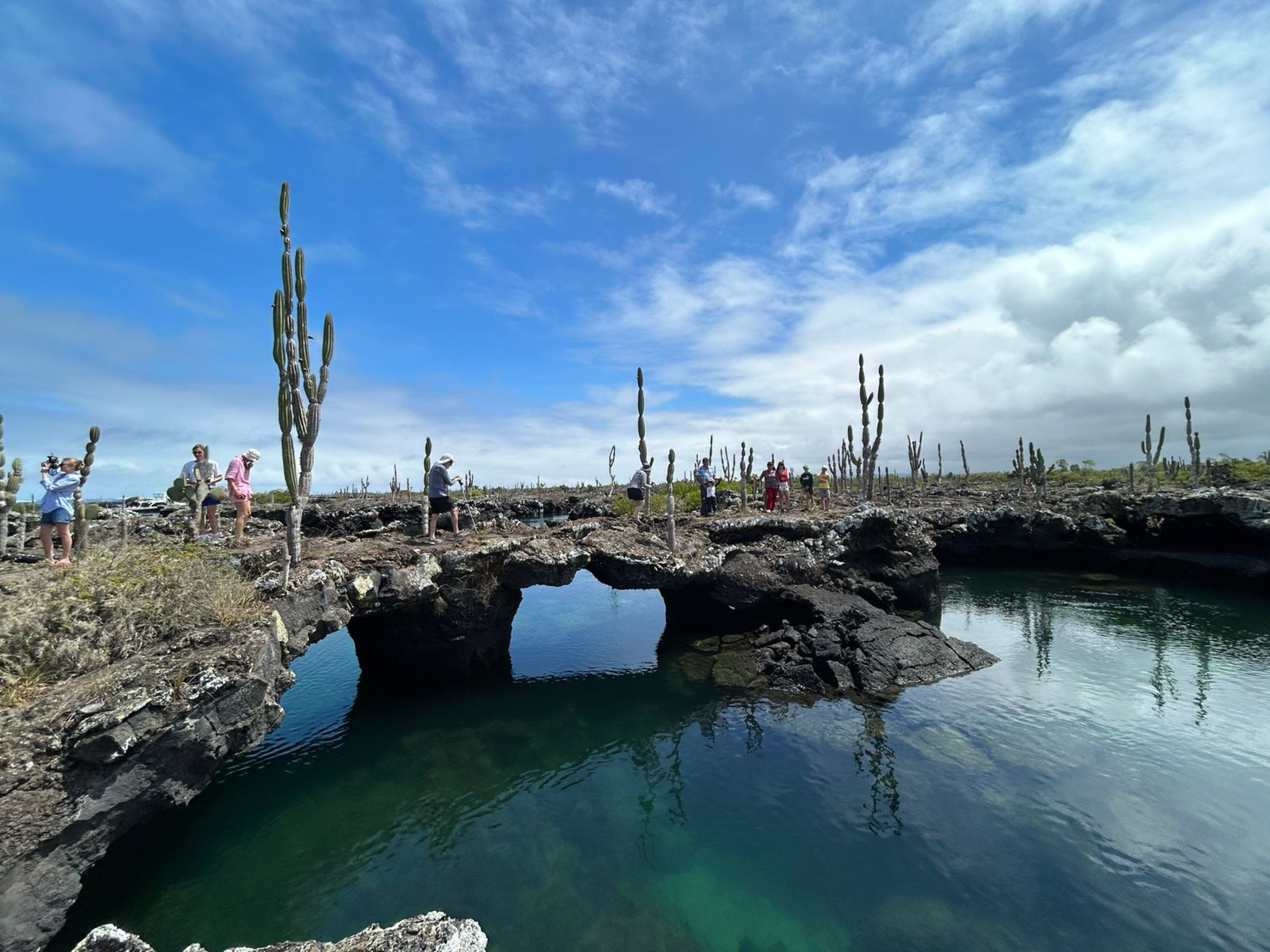 Explore the Galapagos Islands by Land