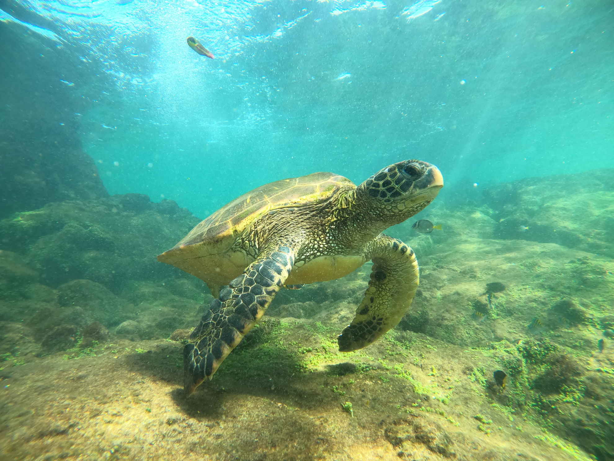 Explore the Galapagos Islands by Land