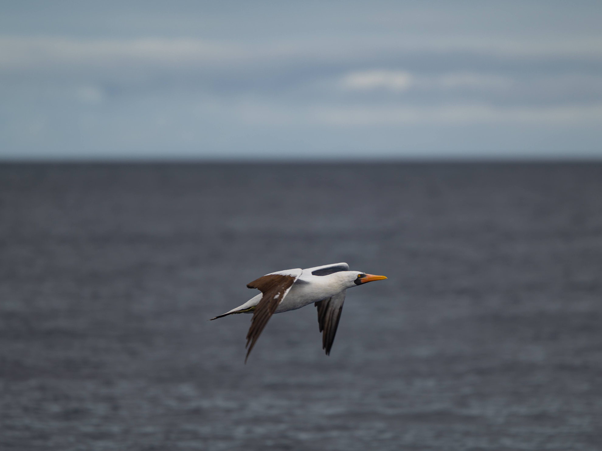 Explore the Galapagos Islands by Land