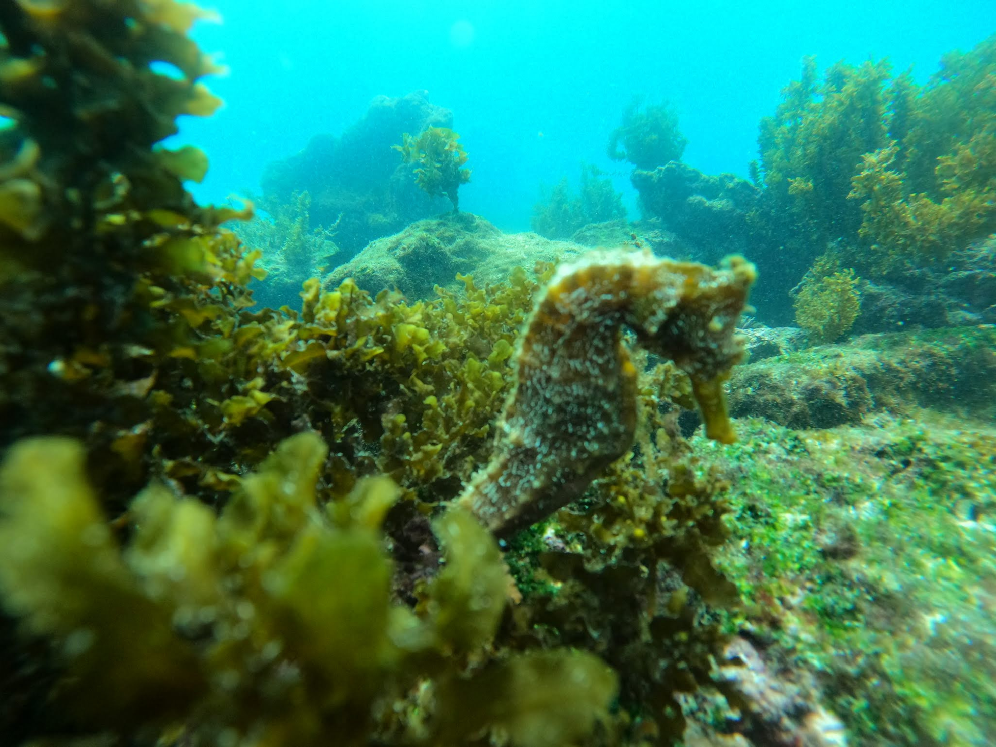 Explore the Galapagos Islands by Land