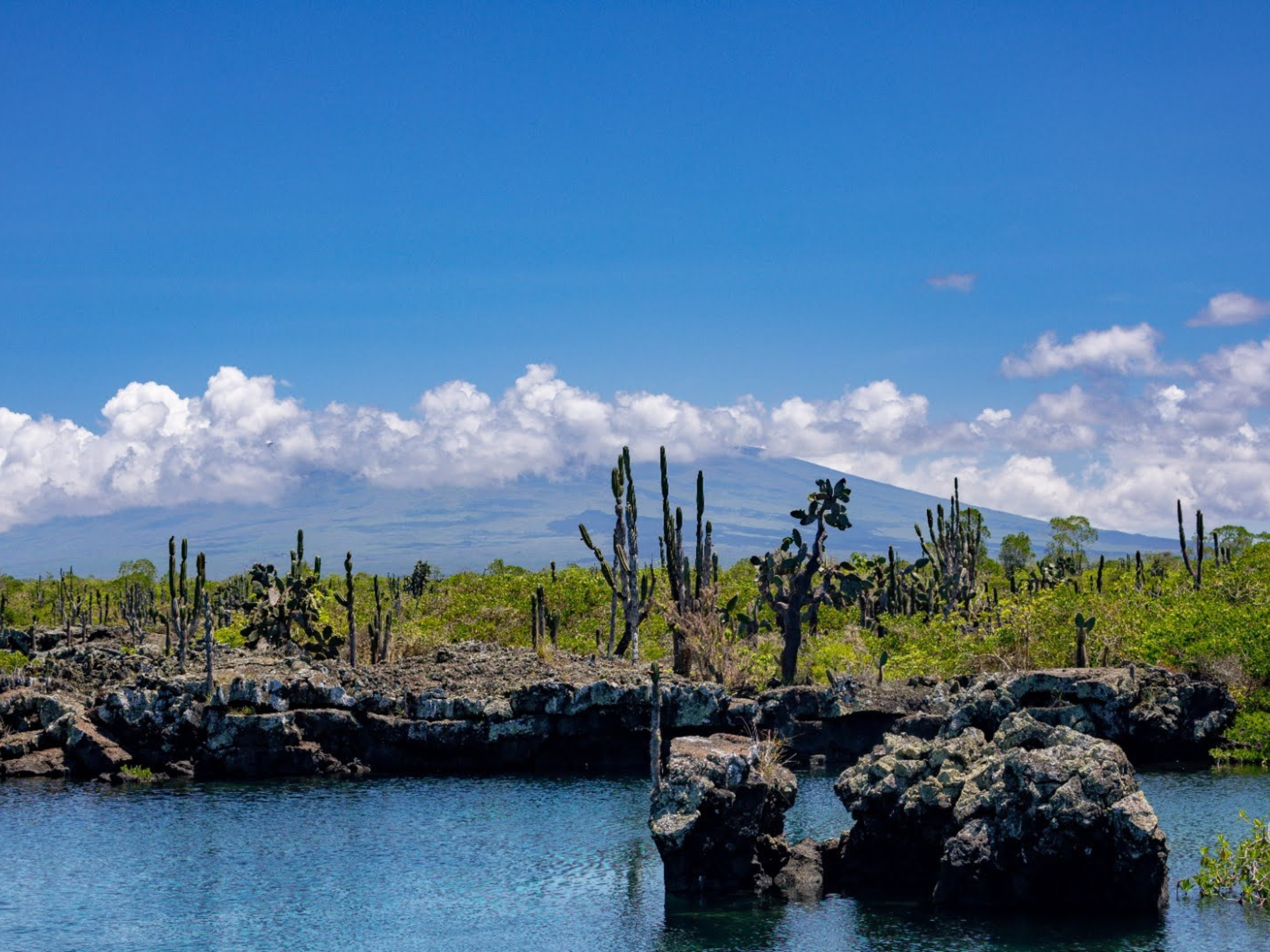 Explore the Galapagos Islands by Land