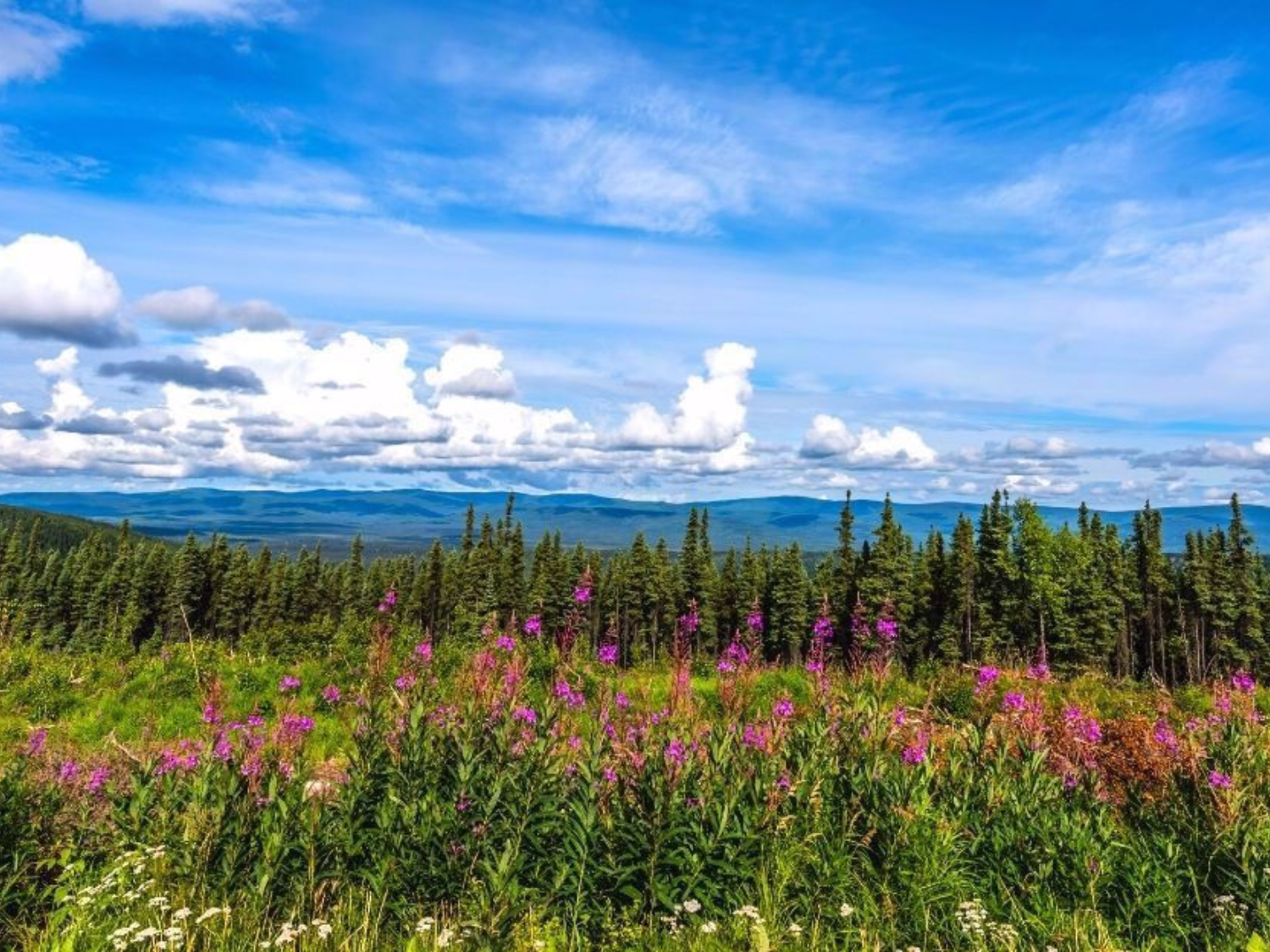 Picture of Alaska: From Fairbanks to Anchorage