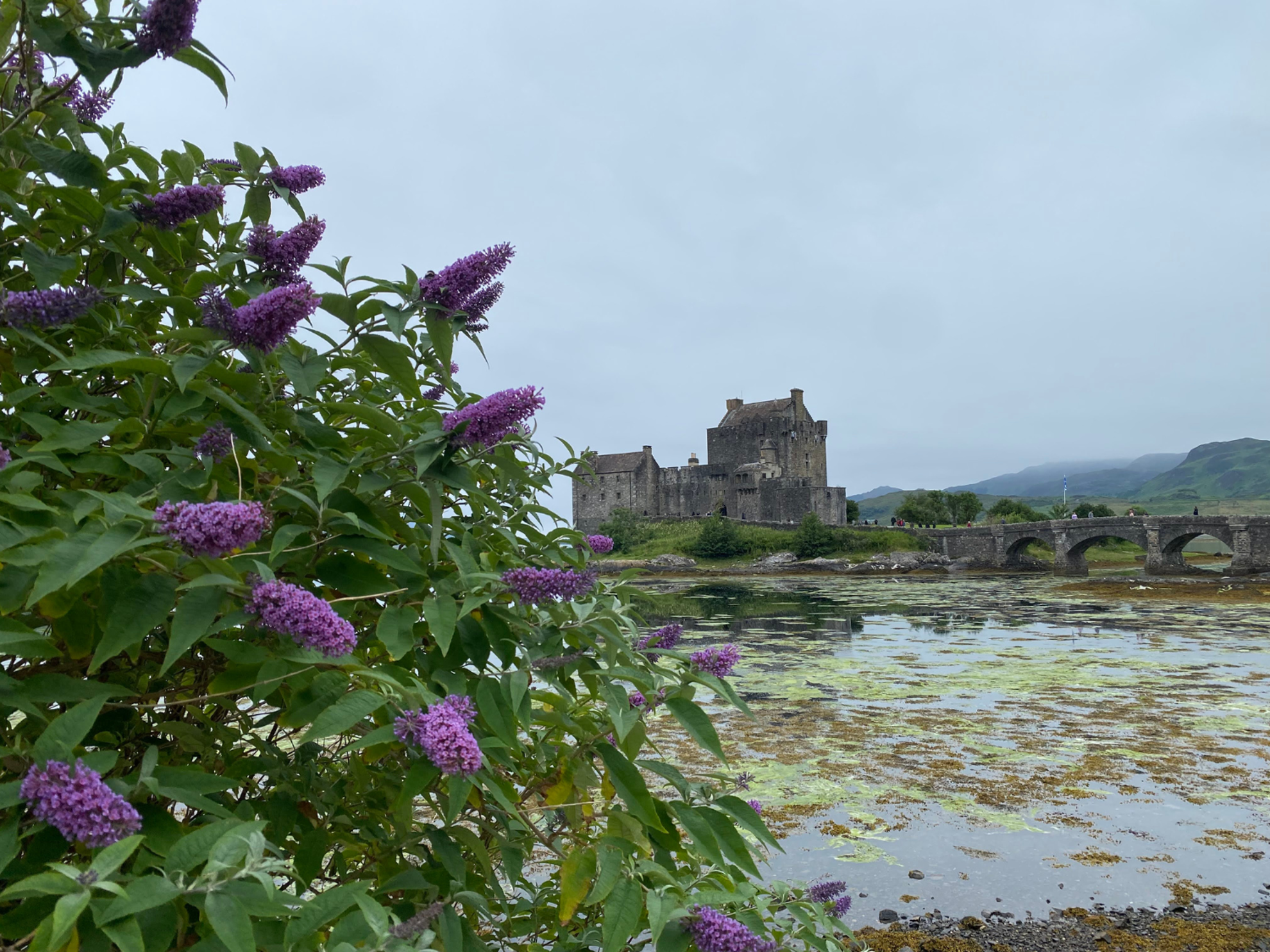 EXSC Castle and Water