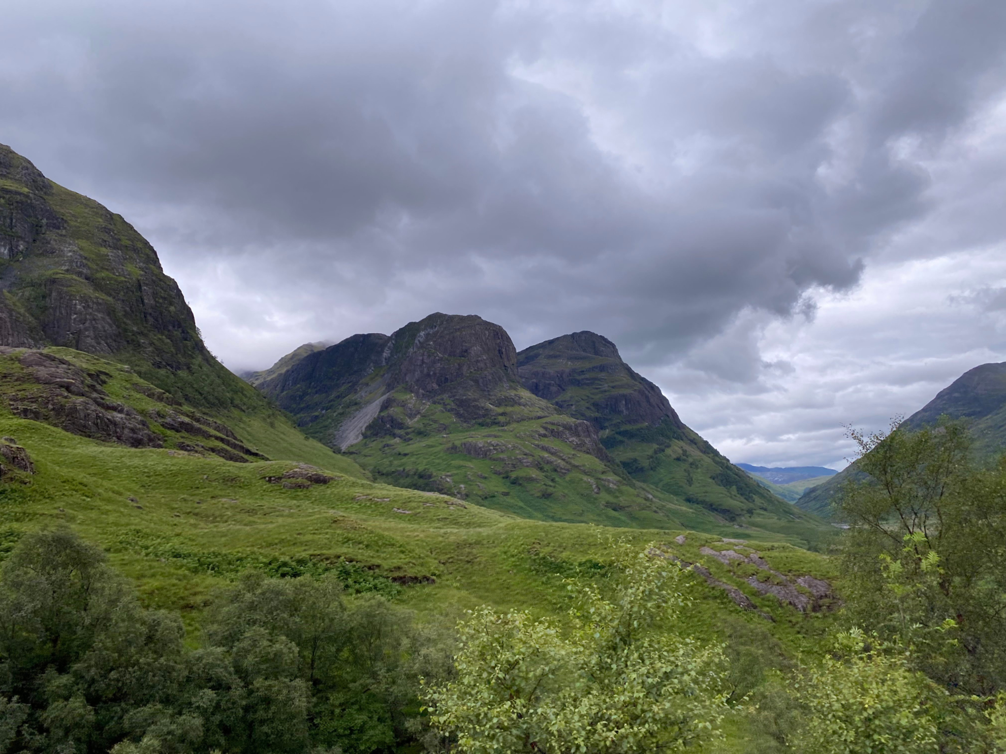 EXSC Lush Green Hills