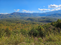 FIGS Smoky Mountains