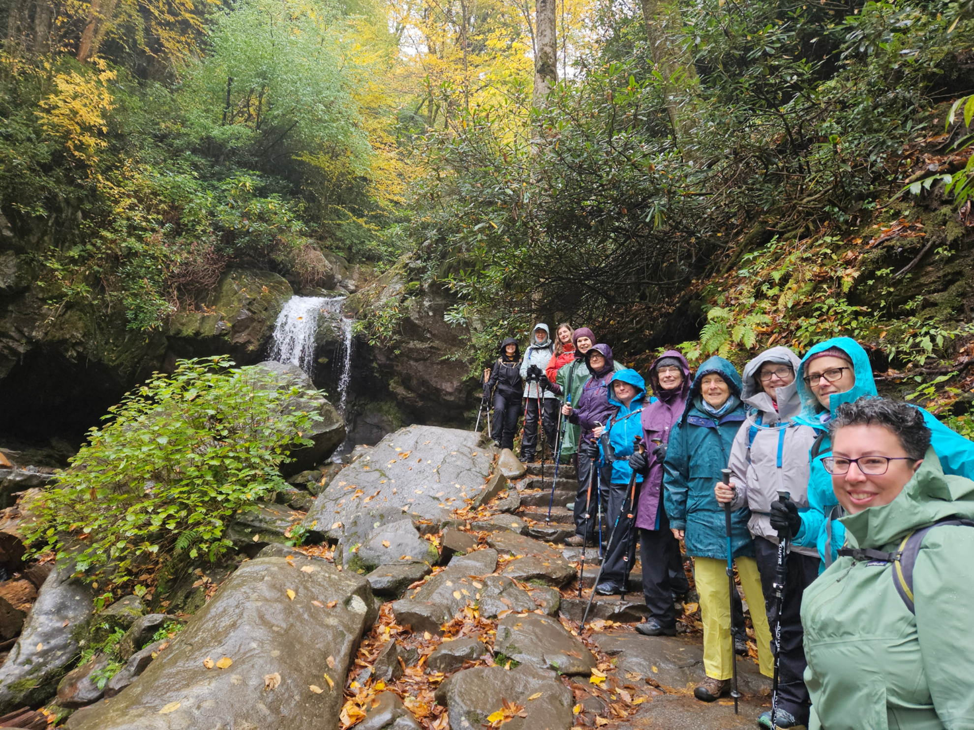 FIGS Waterfall