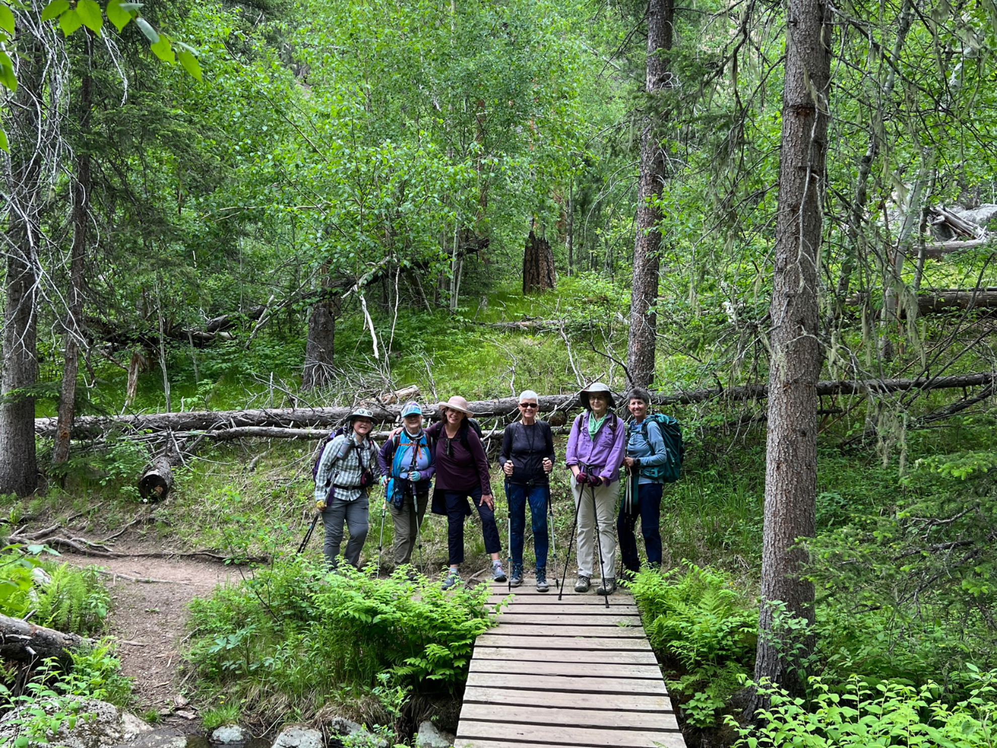 SDHT Woods Hike