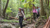  AUST Forest hiking