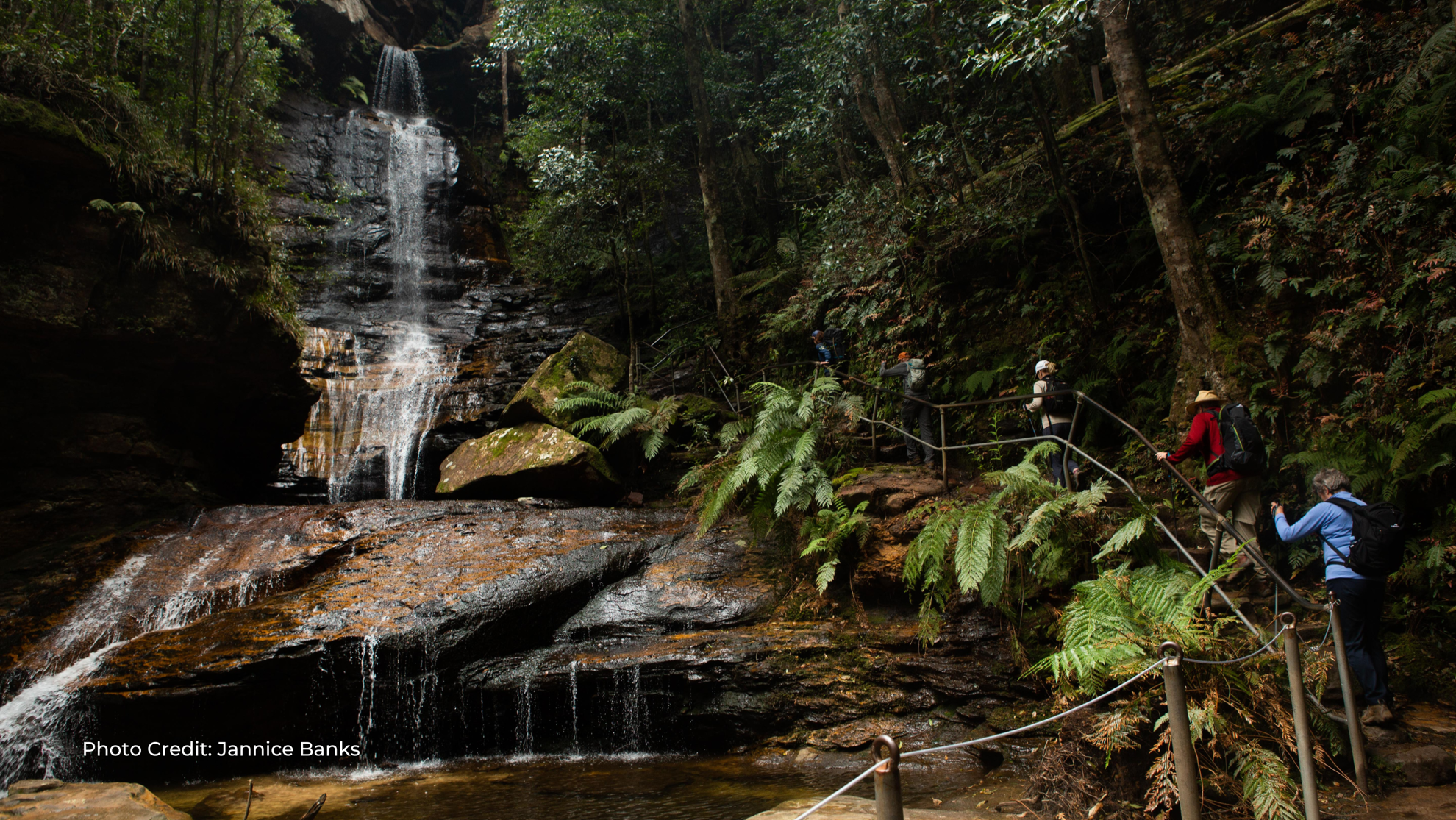 AUST Valley-of-the-Waters---Blue-Mountains-Jannice Banks.