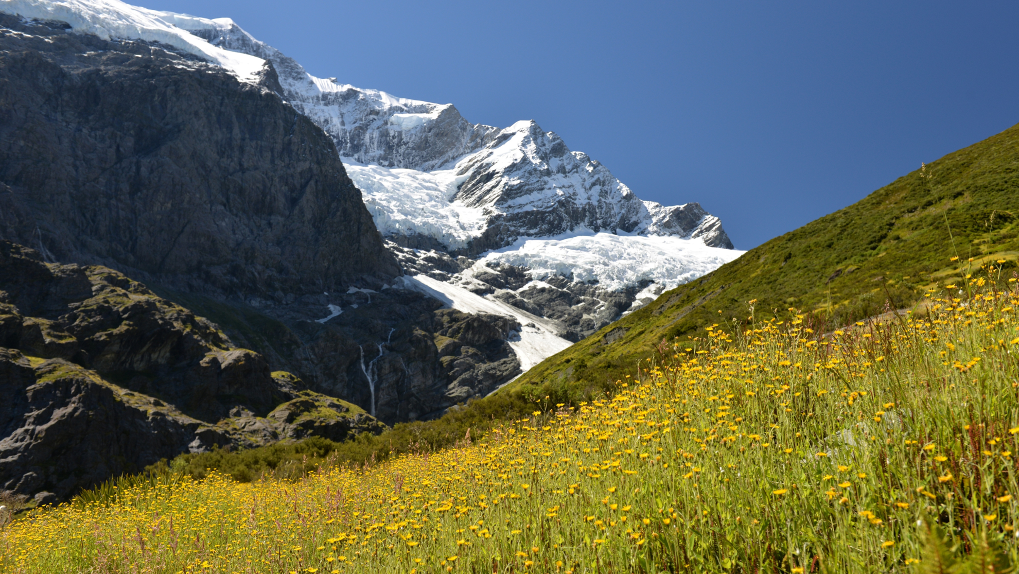 Picture of New Zealand's Wild Wonders: Southern Alps & National Parks