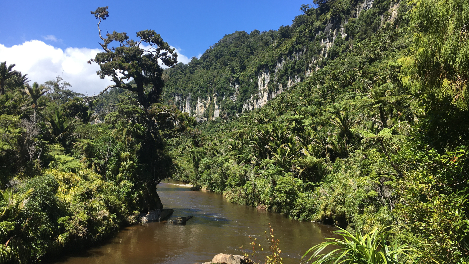 Picture of New Zealand's Wild Wonders: Southern Alps & National Parks