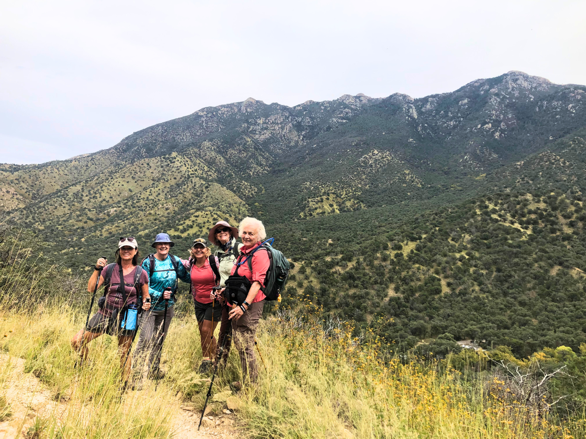 Picture of Desert Melodies: Intro to Birding and Hiking in Arizona Picture of Desert Melodies: Intro to Birding and Hiking in Arizona
