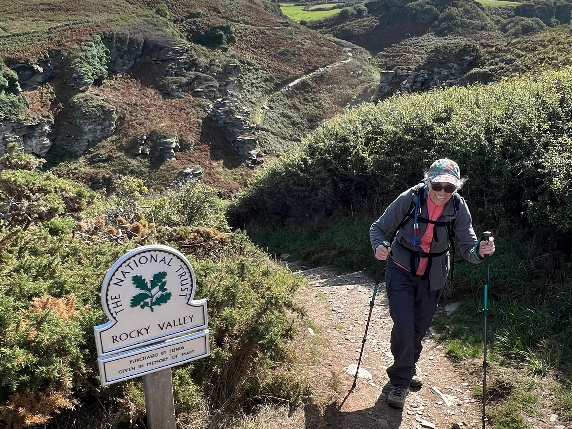 Picture of Cornwall's Coastal Charms: A Boutique Hiking Experience