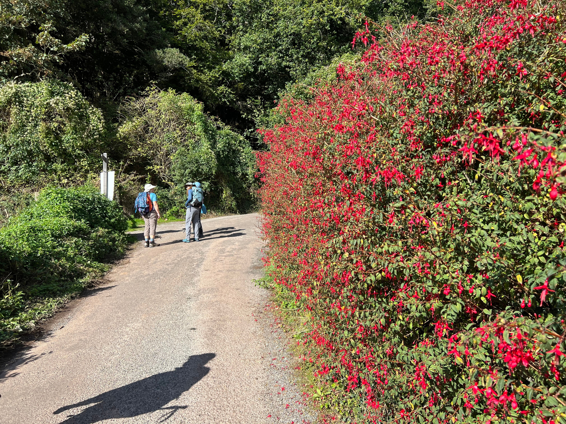 Picture of Cornwall's Coastal Charms: A Boutique Hiking Experience