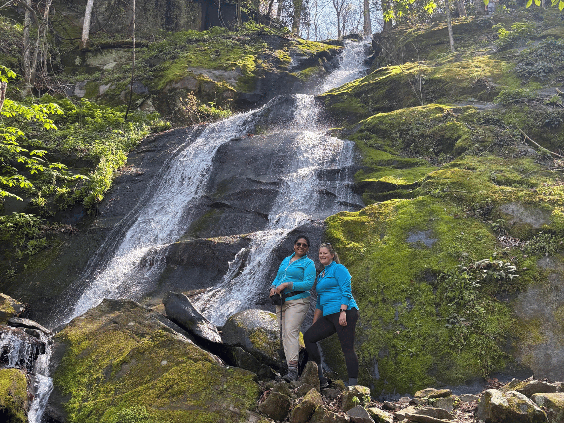 Picture of Wildflowers & Waterfalls: Exploring the Great Smokies Picture of Wildflowers & Waterfalls: Exploring the Great Smokies