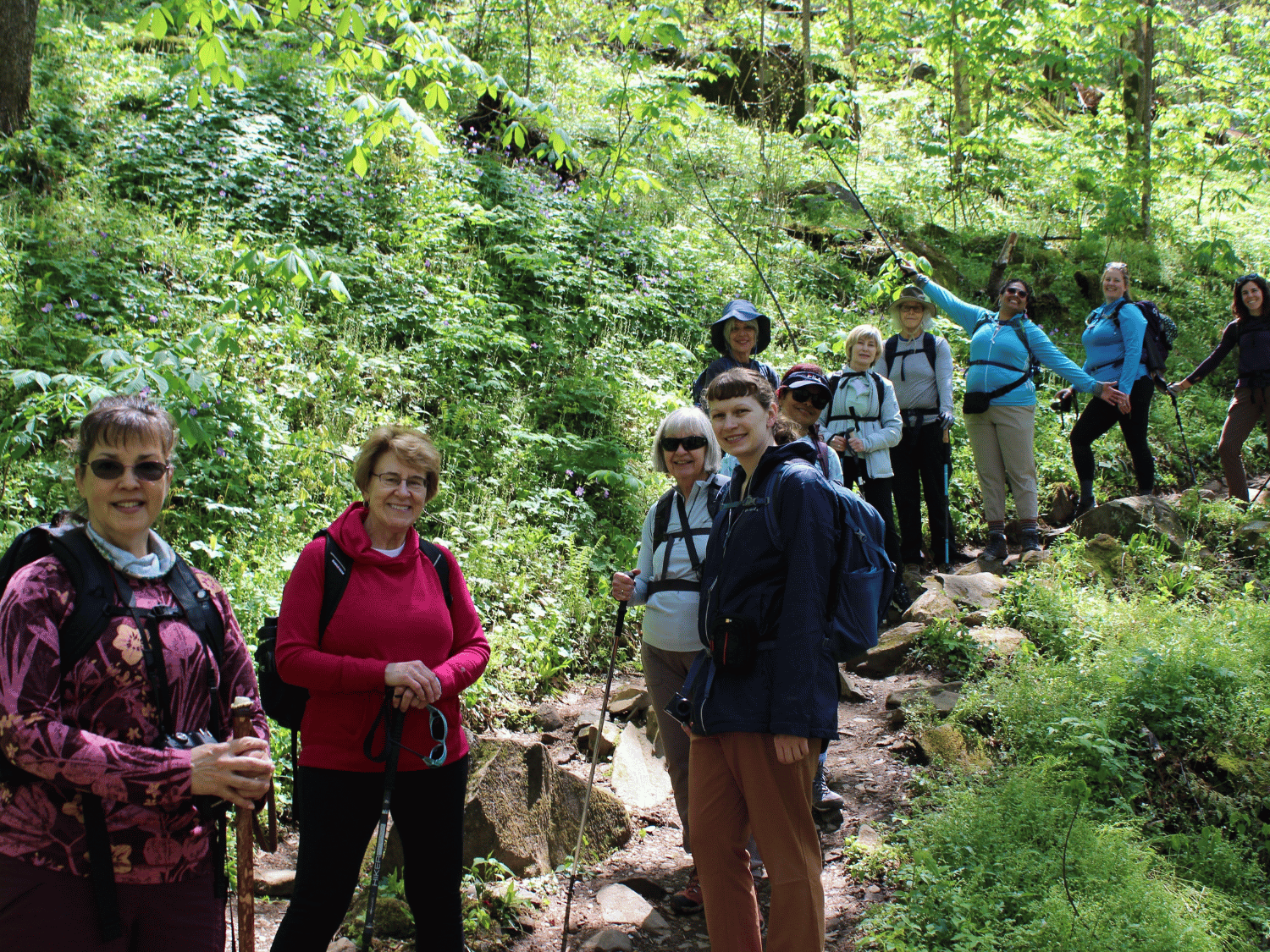 Picture of Wildflowers & Waterfalls: Exploring the Great Smokies