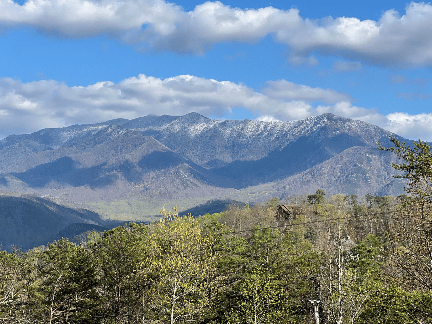 Picture of Wildflowers & Waterfalls: Exploring the Great Smokies