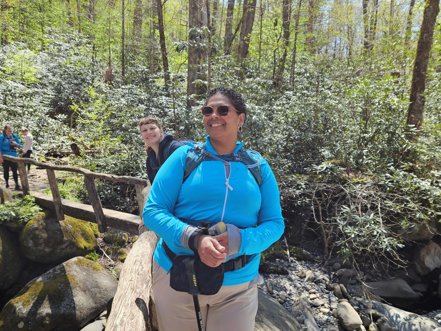 Picture of Wildflowers & Waterfalls: Exploring the Great Smokies