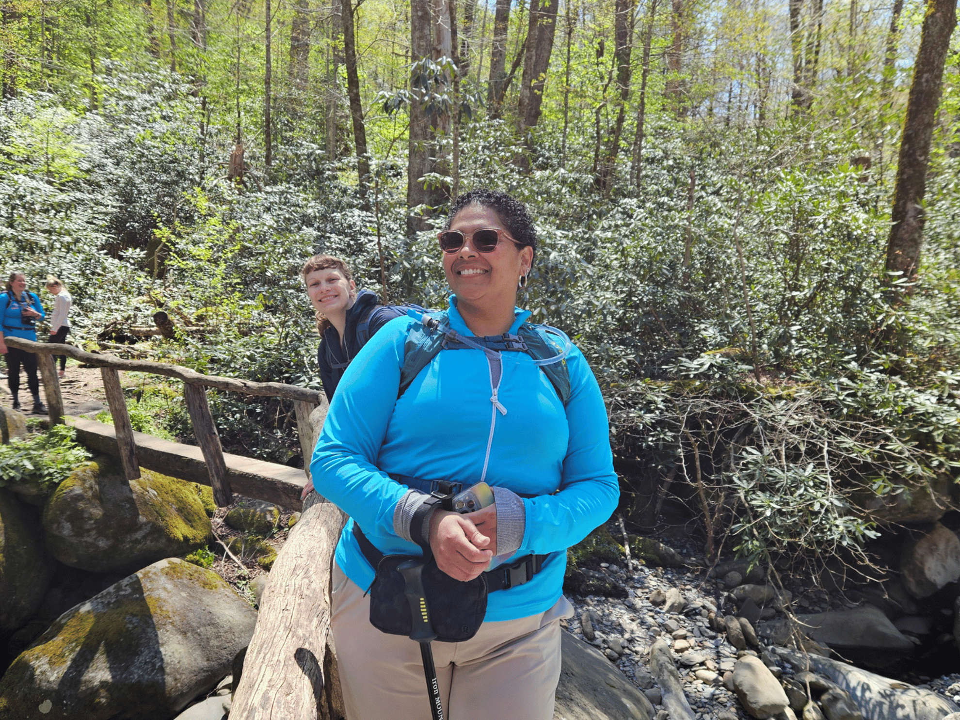 Picture of Wildflowers & Waterfalls: Exploring the Great Smokies Picture of Wildflowers & Waterfalls: Exploring the Great Smokies
