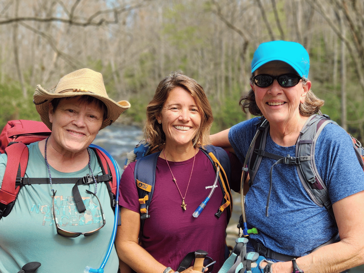 Picture of Wildflowers & Waterfalls: Exploring the Great Smokies