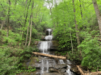 Picture of Waterfalls, Wildflowers, and Wineries Picture of Waterfalls, Wildflowers, and Wineries