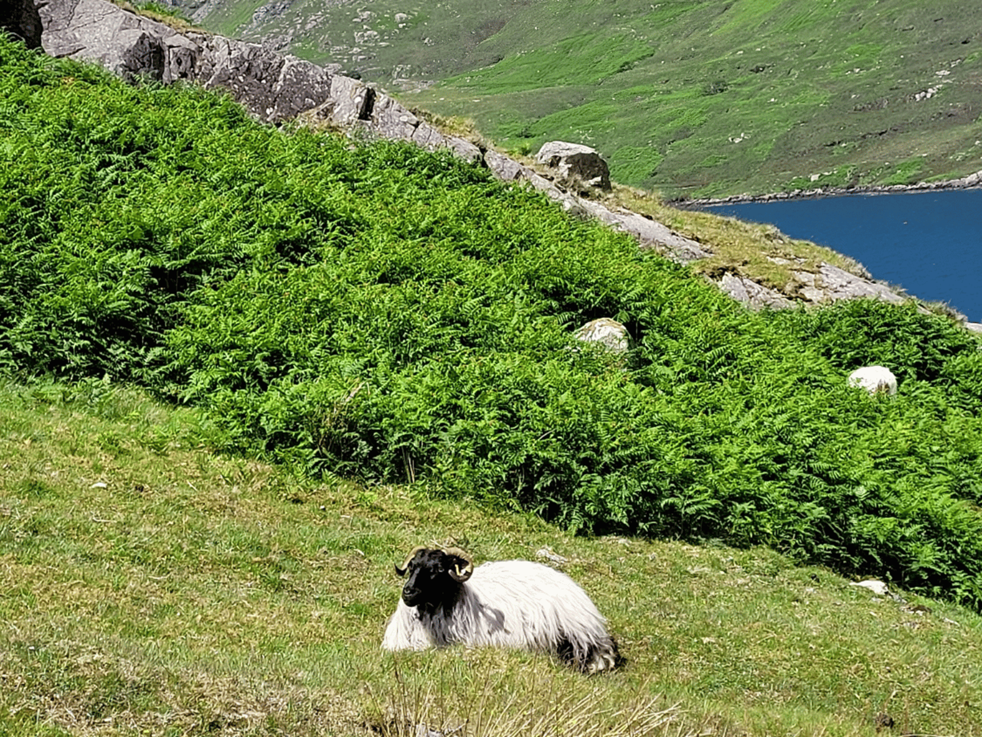 Picture of Ireland: Castles, Culture, and Hiking Picture of Ireland: Castles, Culture, and Hiking