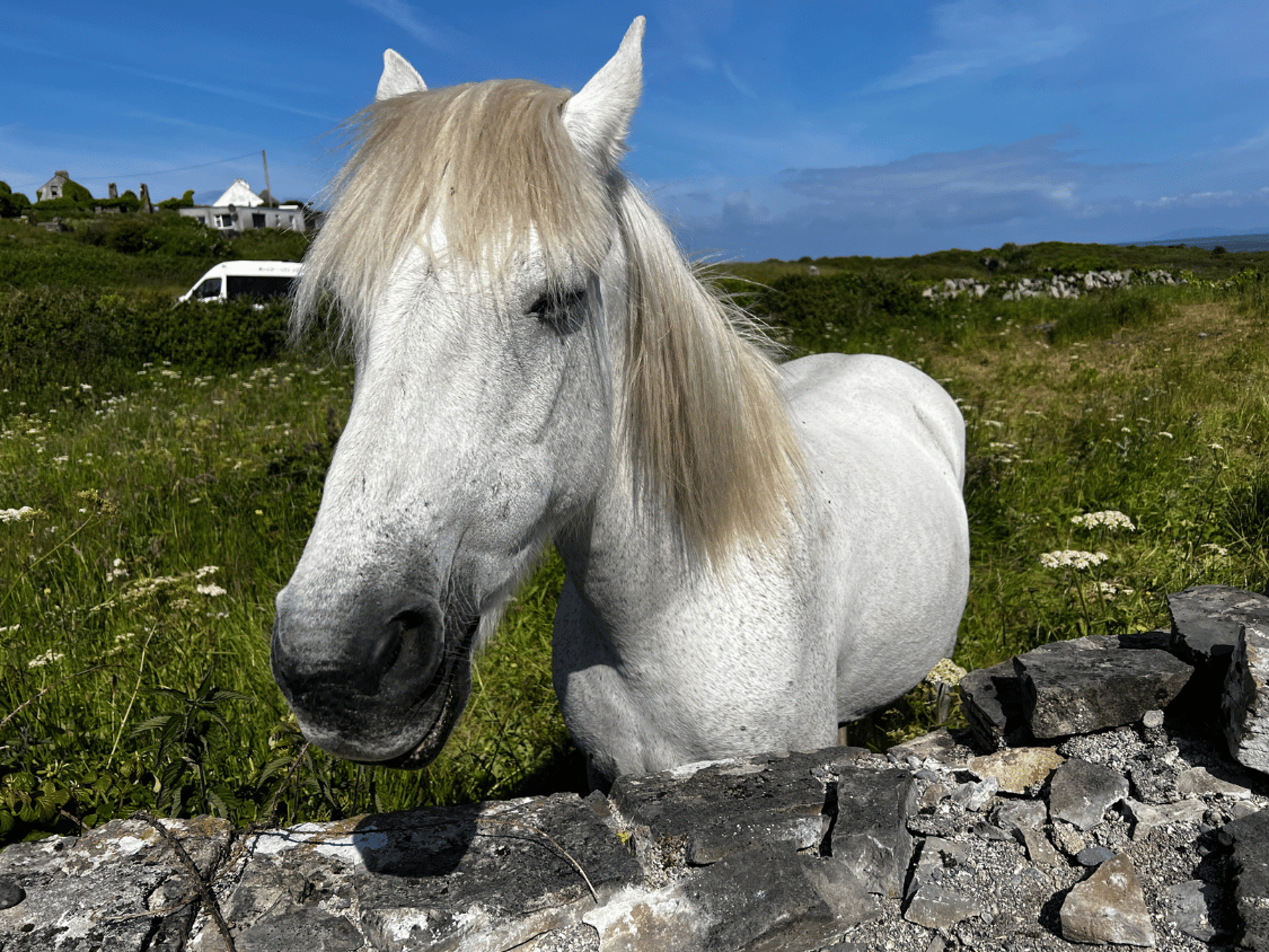 Picture of Ireland: Castles, Culture, and Hiking Picture of Ireland: Castles, Culture, and Hiking