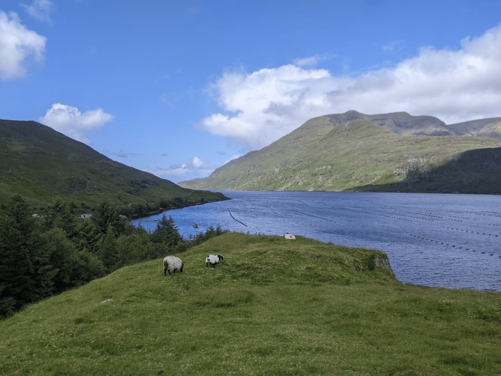 Picture of Ireland: Castles, Culture, and Hiking Picture of Ireland: Castles, Culture, and Hiking