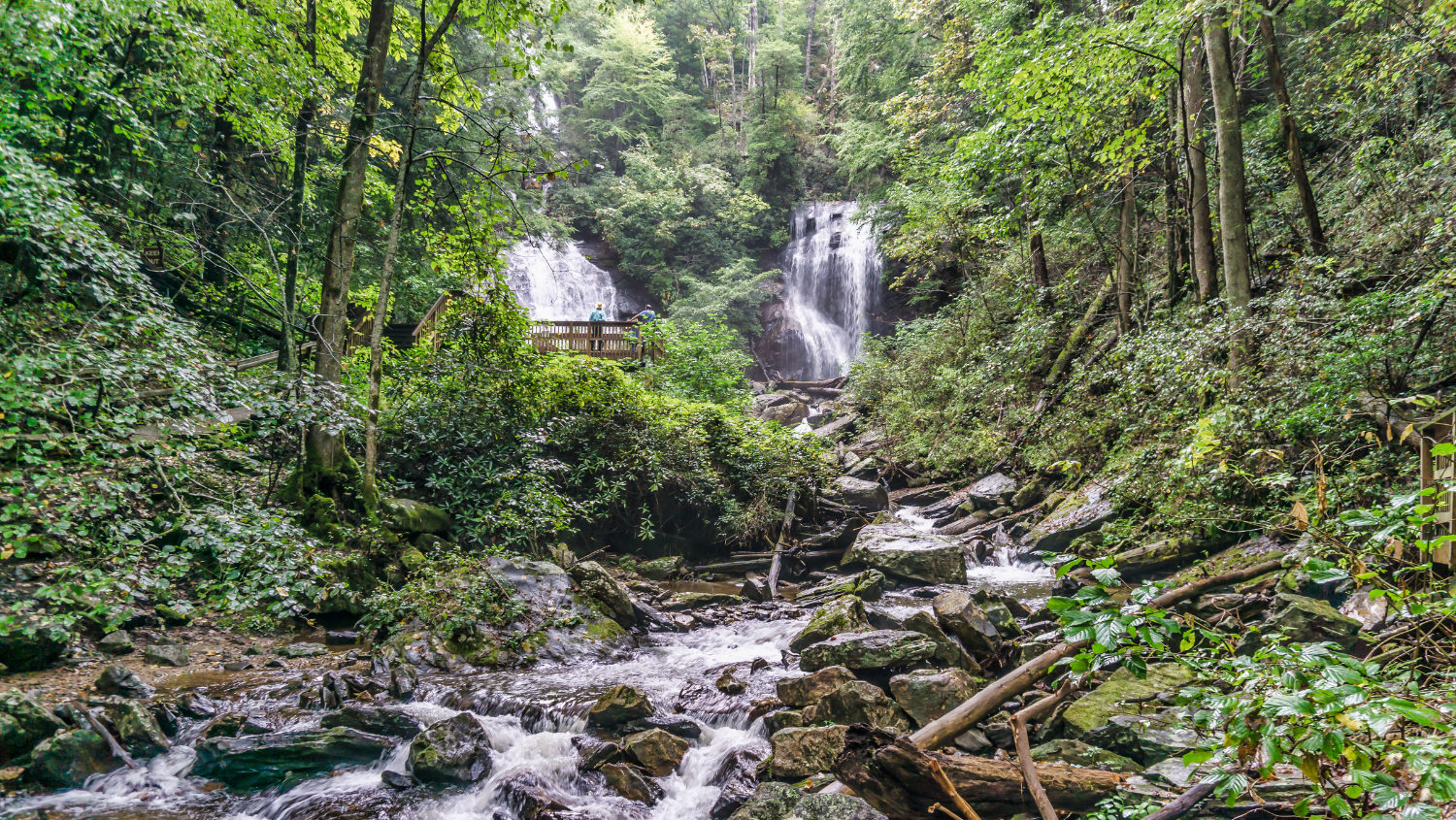 Waterfalls, Wildflowers, and Wineries