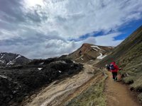 Picture of Iceland's Wild Wonders