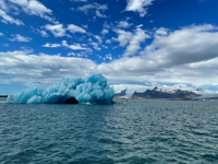 Picture of Iceland's Wild Wonders